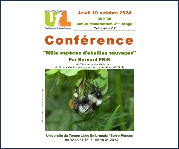 Embrun. Conférence Mille espèces d'Abeilles Sauvages