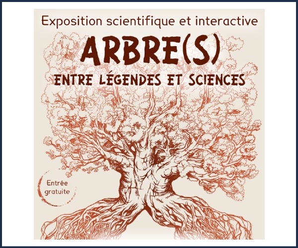 Briançon. Exposition Arbre(s) entre légendes et sciences