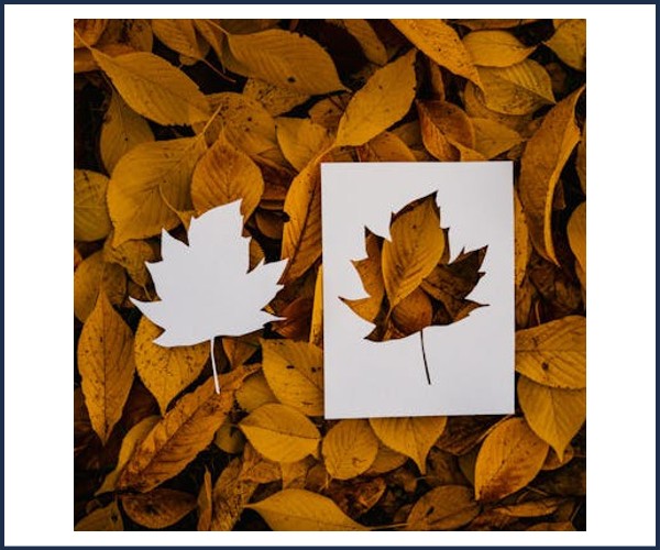 Briançon. Atelier créatif Numérique