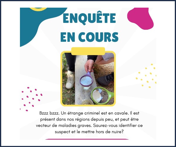 Veynes. Enquête en cours