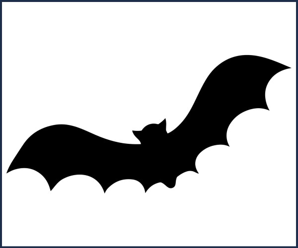 Les Orres. Nuit internationale de la chauve souris