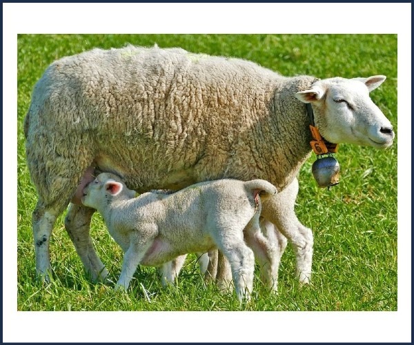 Image de l'événement