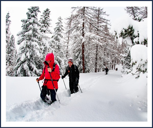 Montgenèvre. Initiation à la Marche Nordique