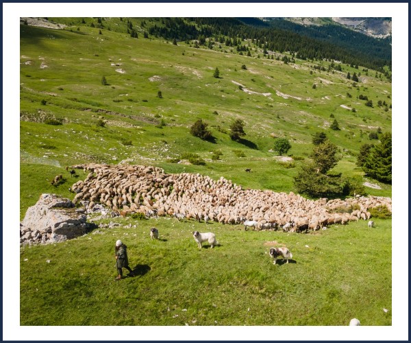 Le Dévoluy. Rencontre Pastoralisme