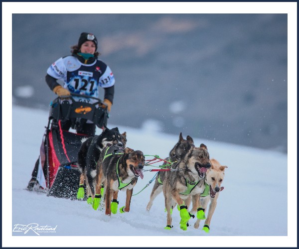 Le Dévoluy. La lekkarod, Course de chien de traineau Superdévoluy