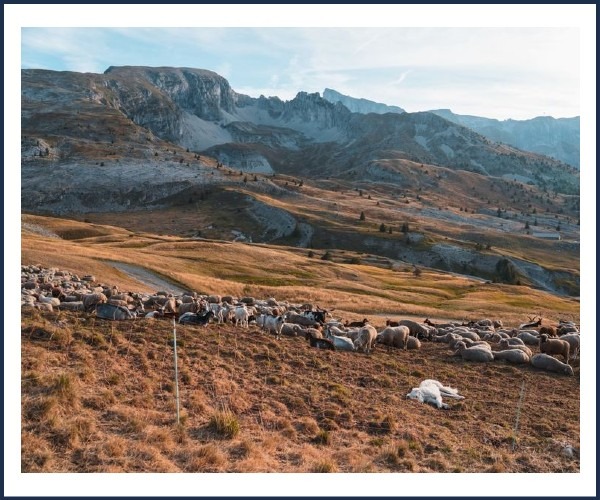 Image de l'événement