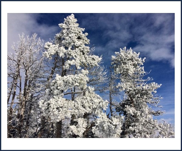 Image de l'événement