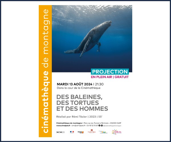 Gap. Projection en plein air du film Des Baleines, des tortues et des hommes