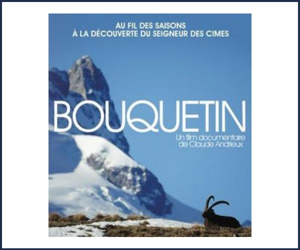 Vallouise Pelvoux, Projection du film, Bouquetin