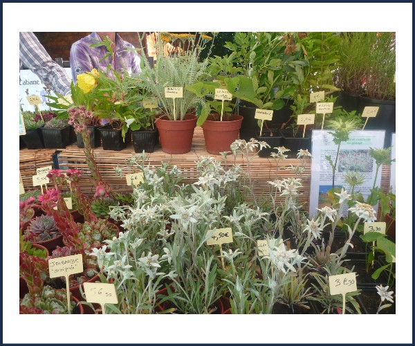 Image de l'événement