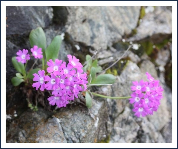 Image de l'événement