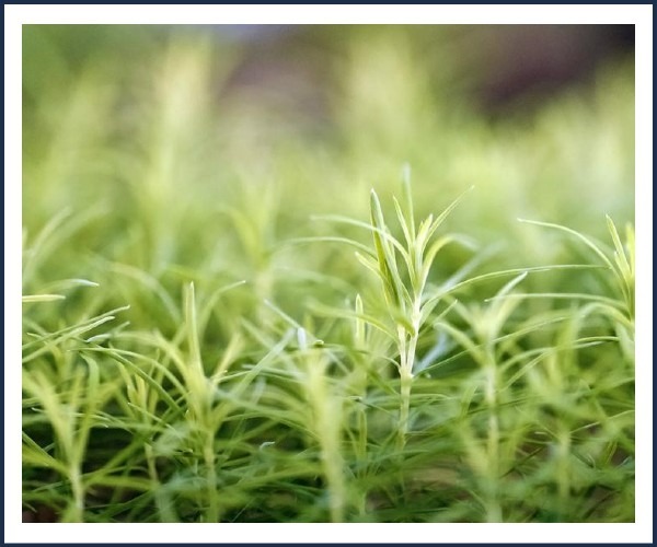 Image de l'événement