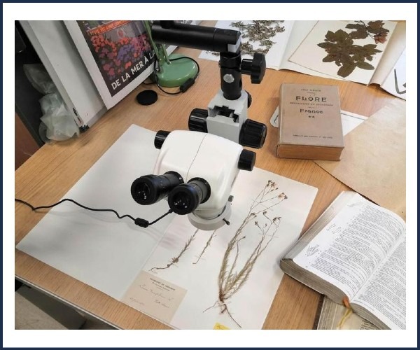 Image de l'événement