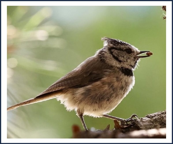 Image de l'événement