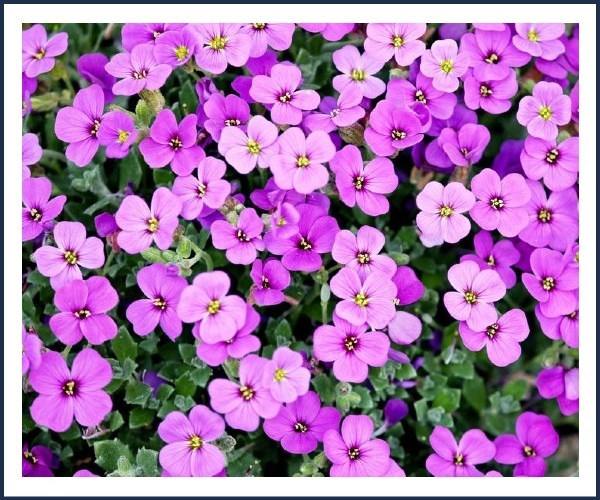 Image de l'événement