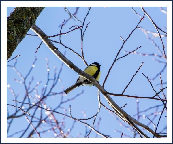 Image de l'événement