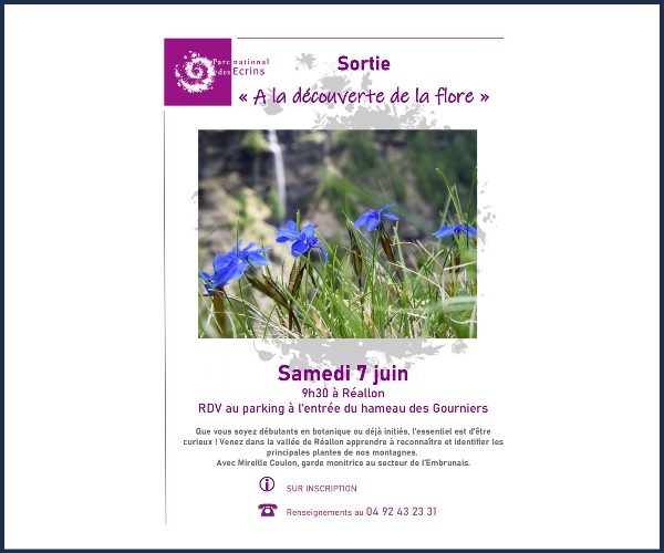 Réallon. Sortie, A la découverte de la flore