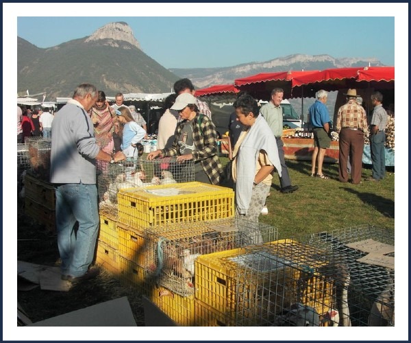 Image de l'événement