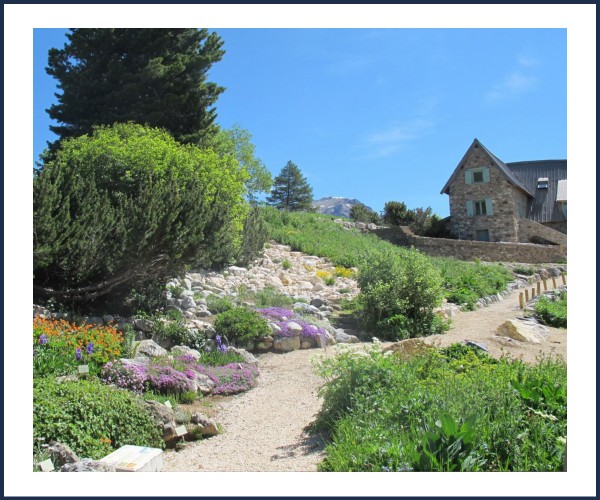 Villar d'Arène. Visite guidée du jardin du Lautaret