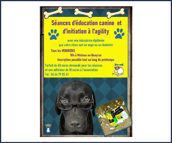 Molines en Queyras. Atelier éducation canine