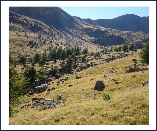 Image de l'événement