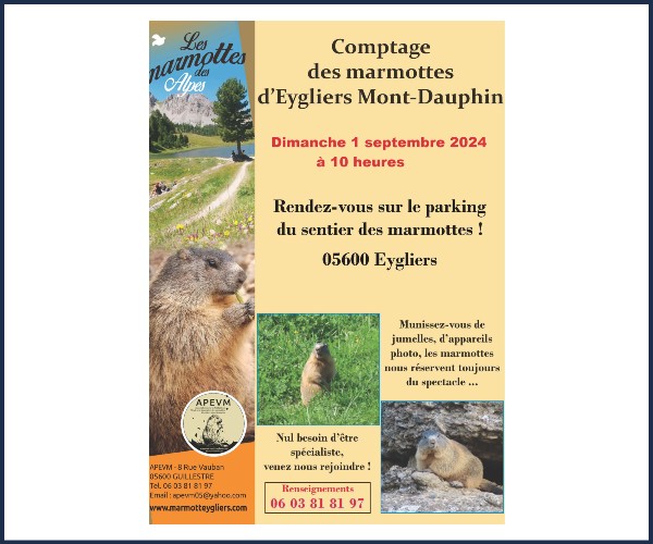 Mont Dauphin. Comptage des marmottes d'Eygliers