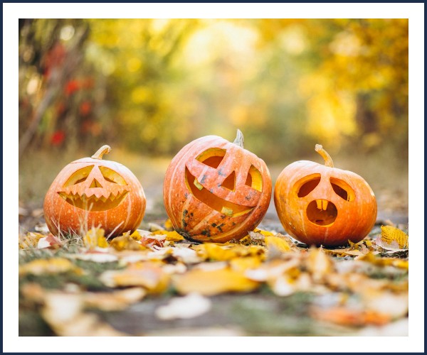 Serres. Animation Halloween
