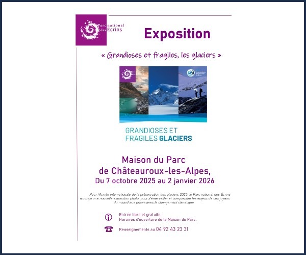 Exposition, Grandioses et fragiles, les glaciers