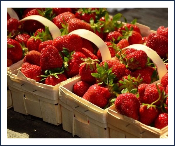 Image de l'événement