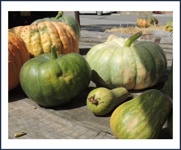 L'Épine. Foire aux Courges