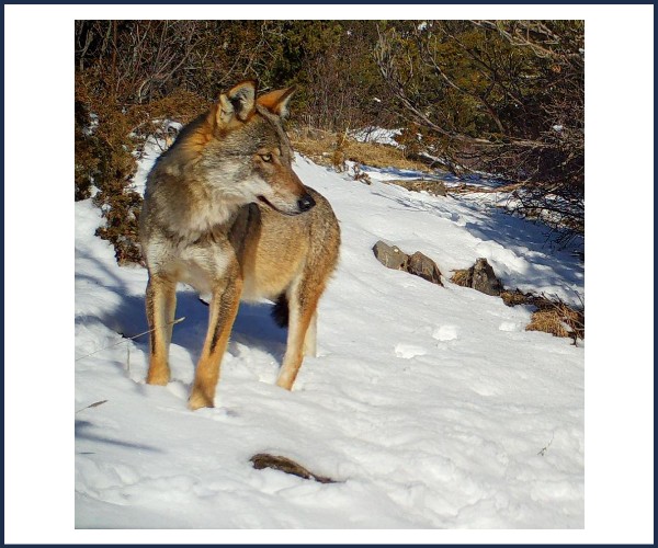 Le Monêtier les Bains. Rencontre avec un garde moniteur