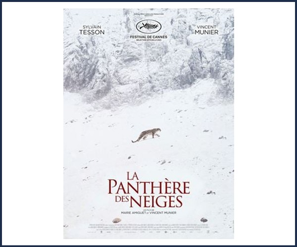 Ancelle. Ciné plein'air La Panthère des Neiges