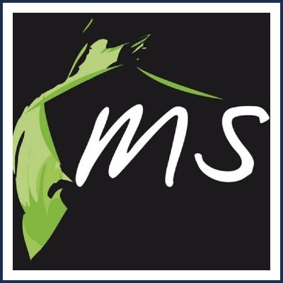 MS Immobilier Chorges