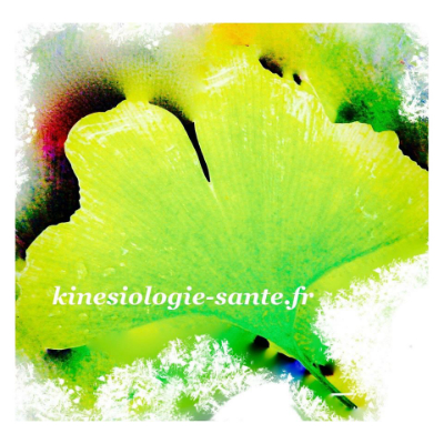 Valérie Coret Kinésiologue