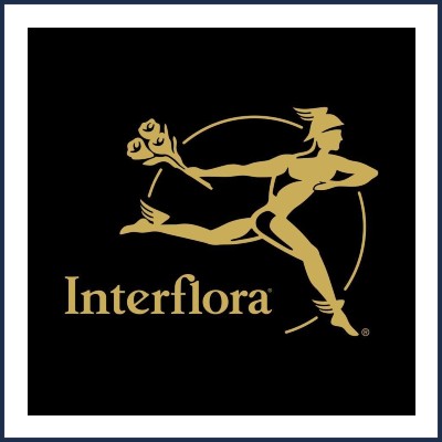 Art Floral Maison Grimandi