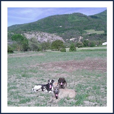 Chic c'est les Vacances