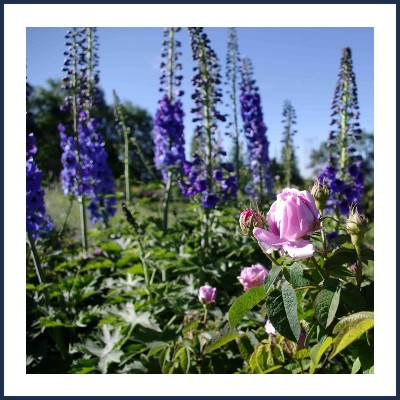 Les Jardins des Hautes Terres