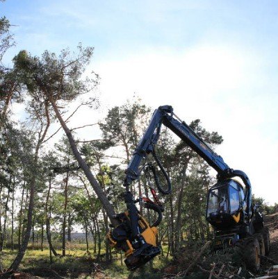 Serbois Exploitation Forestière