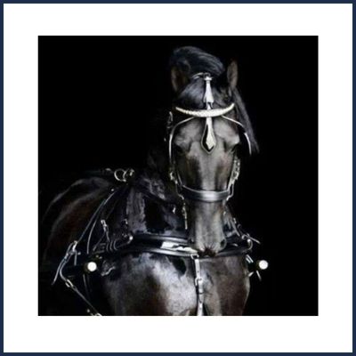 Attelages de Céüze