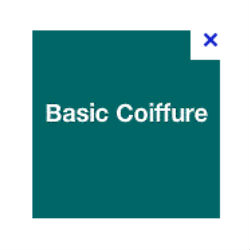 Basic Coiffure