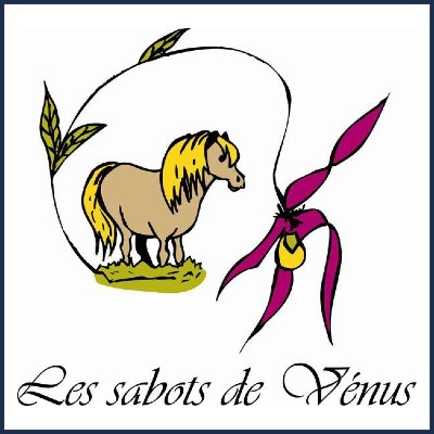 Les Sabots de Vénus Centre Équestre