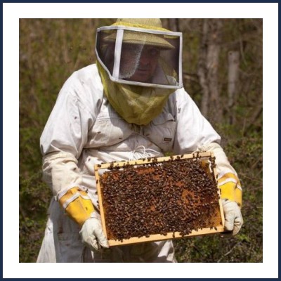 Gérald Tiron Apiculteur