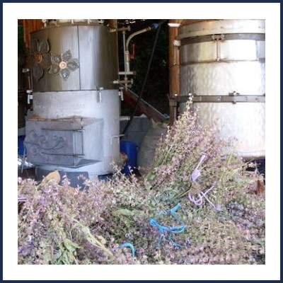 La Rivière des Arômes Distillerie