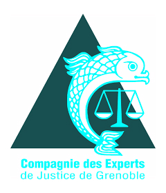 Céline Lauro Tixier Expert Judiciaire