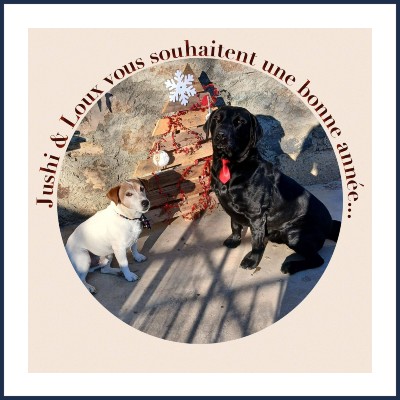 Coach Canin Hélène Nivan