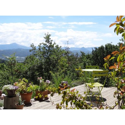 Entre Safran et Hysope