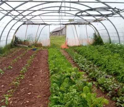 Les Jardins de Manon