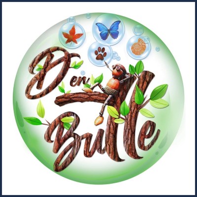 D en Bulle