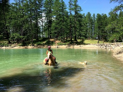 Centre Équestre Les Chalps Risoul