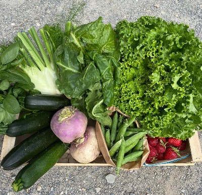 Les Légumes de Lyly